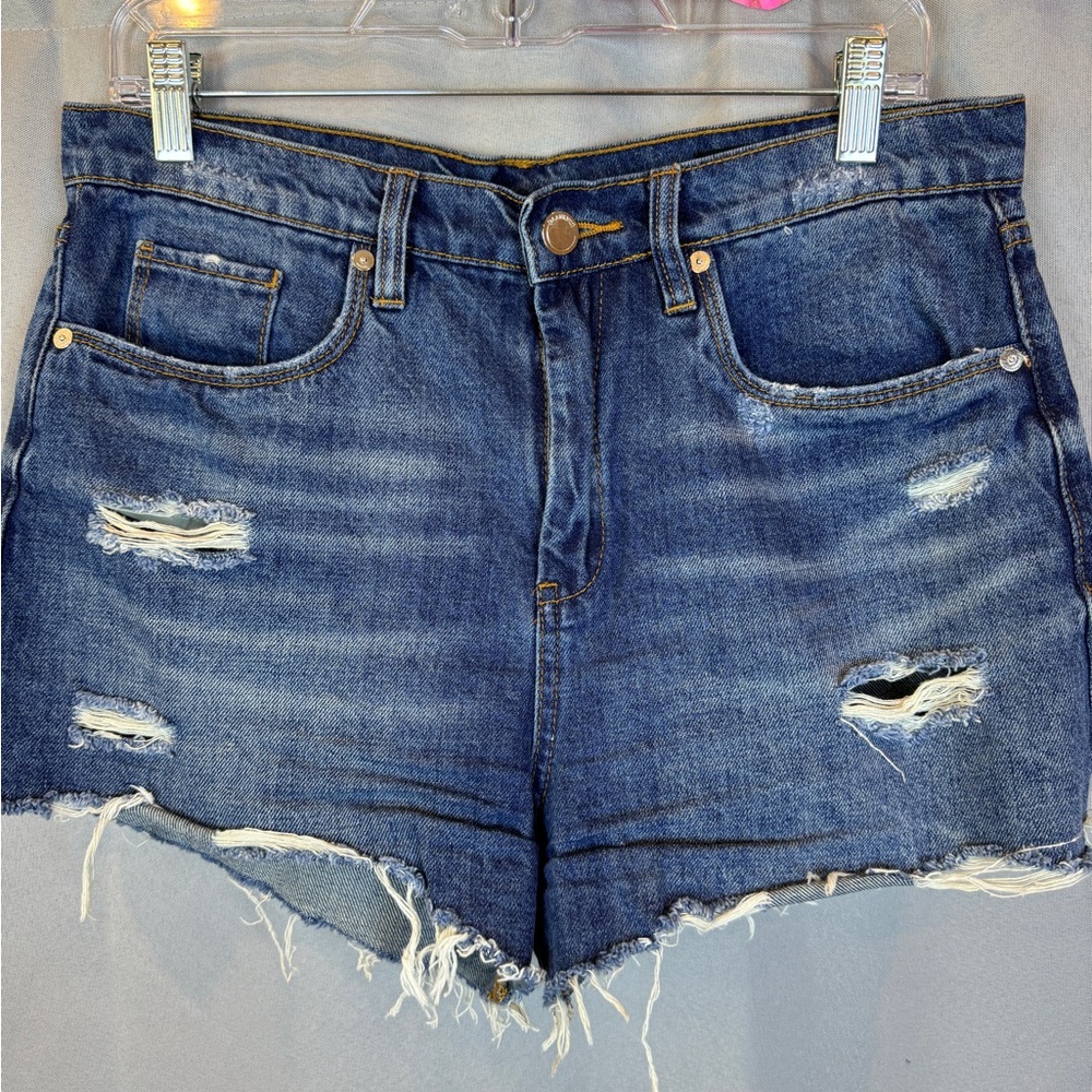 BlankNYC Barrow Distressed High Waist Cutoff Shorts- Sz 29